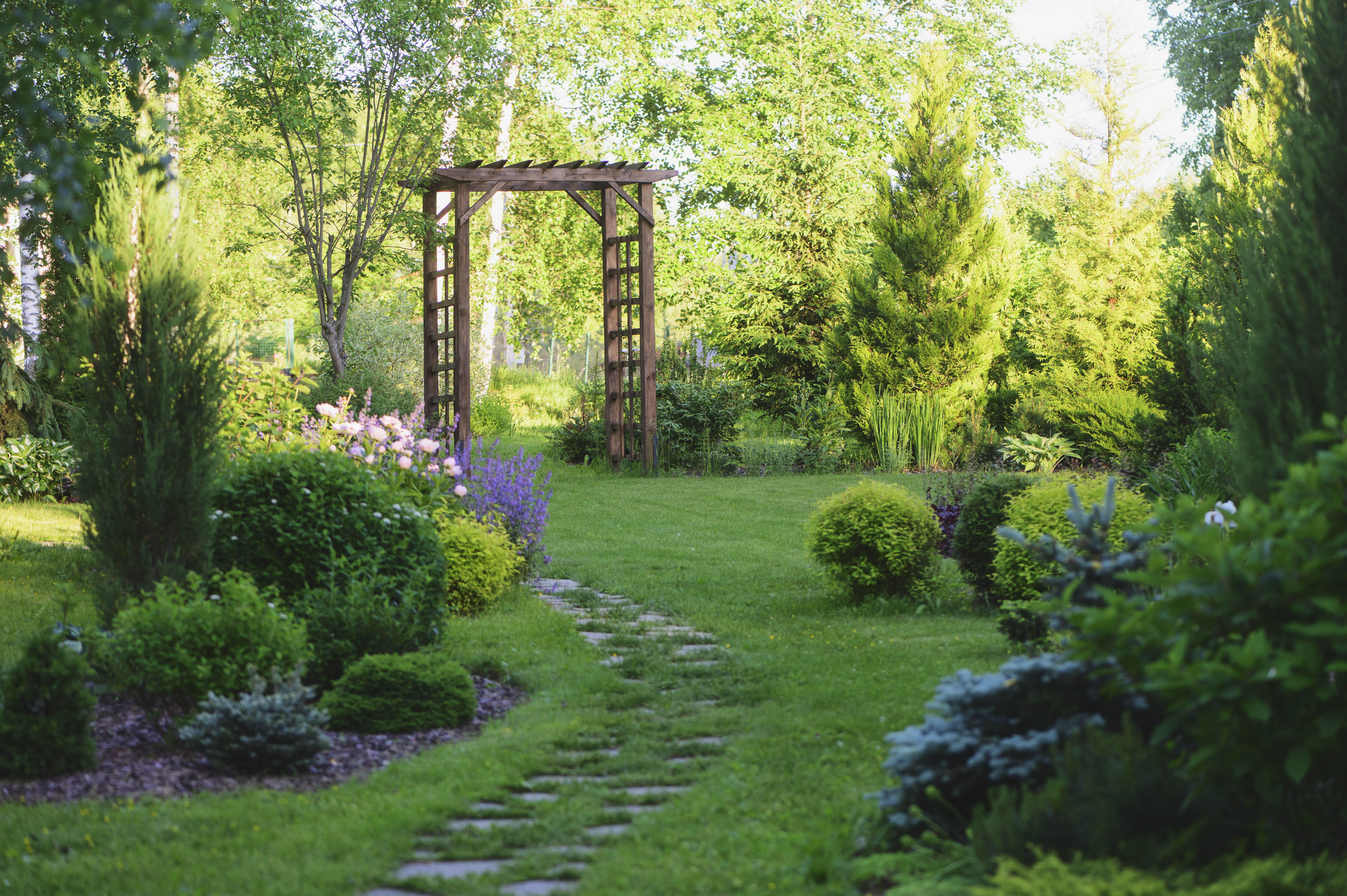 picture of greenful garden with many bushes, and a stone path that leads to a wooden square