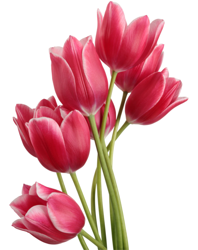 pink lilies bouquet
